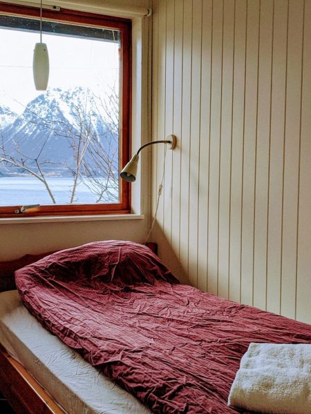 IMG_20200117_153606-1 1